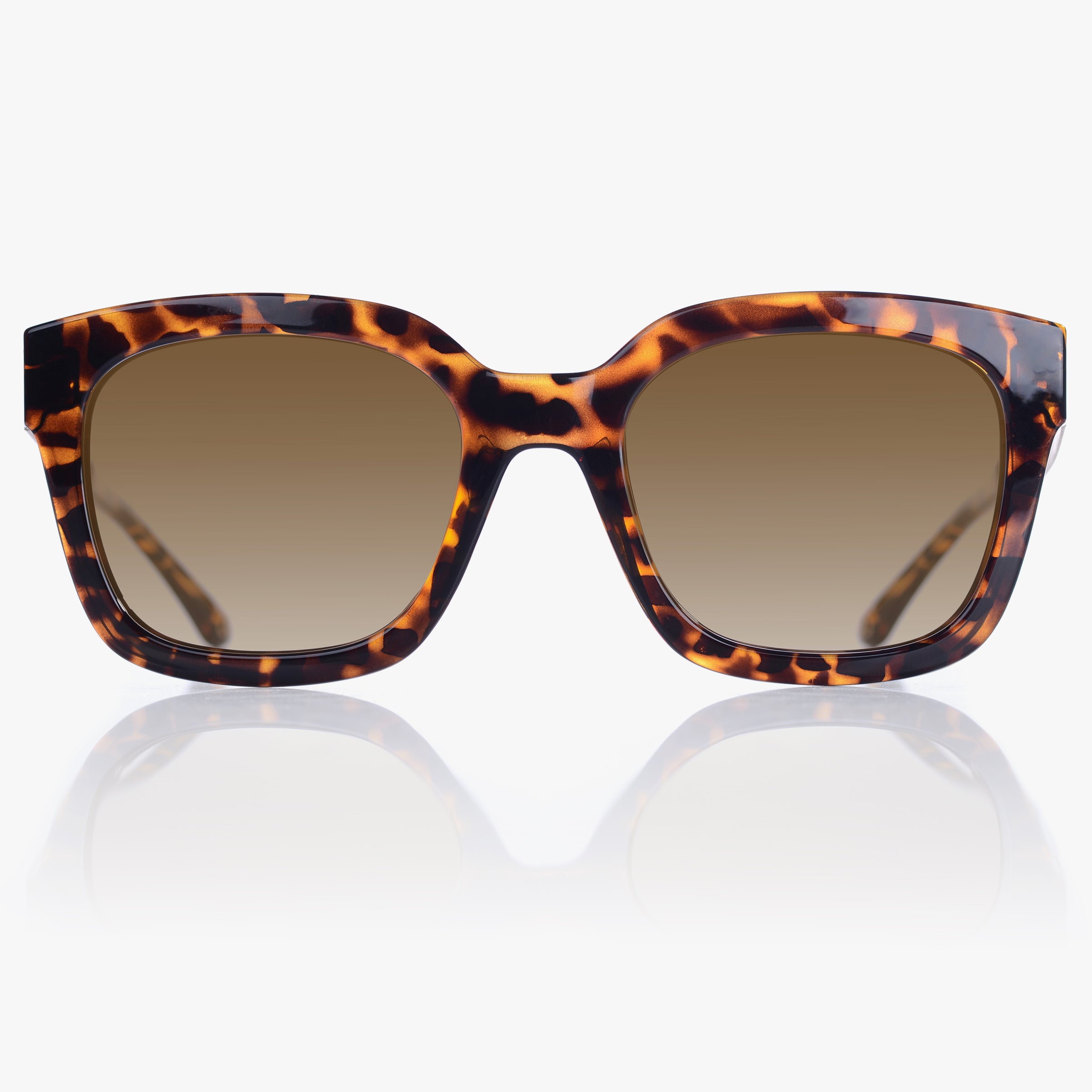 June First Sunglasses | Blush | Tortoise Bronze